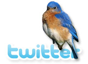 twitter nelson mochilero